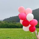 무지개상점 | 제주 웨딩스냅 소품 추천 무지개상점in제주 다발풍선 후기