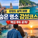 초곡용굴촛대바위카페