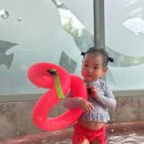 이천 테르메덴 평일 오후권 사용 33개월 아기랑 다녀온 후기 및 준비물