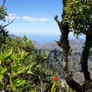 테이블79 이미지