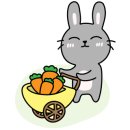 더에이치에스 이미지