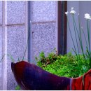 저동경로당 이미지