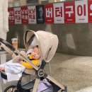 파이브렉스