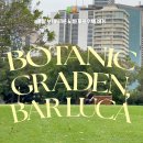 루카 Luca | 시드니 신혼여행 Day 1. 로열 보태닉 가든 &amp; 수제 버거 맛집 Bar Luca 바 루카 후기