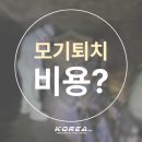 부천 상동 모기방역 맨홀 아래 저수조까지 진입하여 유충까지 확실하게 퇴치한 후기!