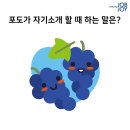 퀴즈 풀어 보기 !~~ (치매 예방용) 이미지