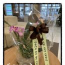 푸른산부인과의원 이미지