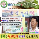 송편맛집 할매손한산모시떡 한산모시떡맛집 모시떡맛집 한산모시떡 모시떡 할매손모시떡 모시송편 한산모시송편 모시개떡 이미지