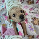 시청길10번길 이미지