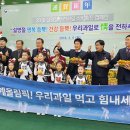 과일정
