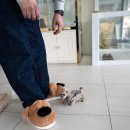 퍼피데일리 이미지