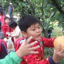 상록어린이집 이미지