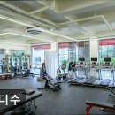 바디수 | 판교 헬스장 바디수 판교 헬스장 바디수, 맞춤형 운동 제공