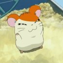 부자건어물 - 강릉시 | 부자건어물