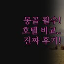 밀레니엄프라자 | 울란바토르 호텔 | 노보텔 칭기스칸 밀레니엄 플라자 | 내돈내산 실제 후기 | 나에게 맞는 숙소 완벽 정리