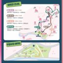 매화1길 이미지