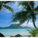 타히티 카카오 검색결과