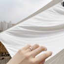 소나무디자인 이미지