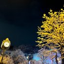 2024 관악아트홀 송년콘서트 김도현X한수진 | 2024년 클래식 공연 결산 (총 21회)