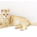 네오한의원 이미지