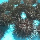 해양 숙박 이미지