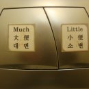 much, little이 무슨...뜻일까염? 이미지