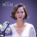 미스티(Misty) 이미지