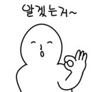 똥꼬들의수다