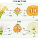 화훼장식 기능사 이미지