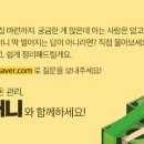 개미부동산중개 이미지