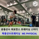 엠에스퍼포먼스