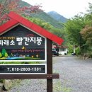 파래소 빨간지붕 이미지