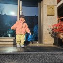 사파동211 이미지