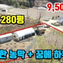 (8075) 주말농장 280평~ 농막에 완벽한 하우스까지 ● 둔내토지매매 9,500만원 이미지