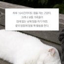 우다다 이미지