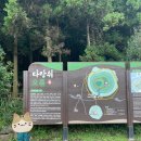 효돈한의원 | 23, 네식구 여행 - 03 다랑쉬오름