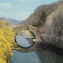 원다리길 이미지