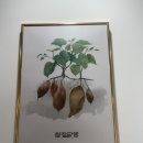 청자다방 이미지