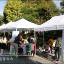 일등장터 이미지