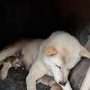 규정농장 이미지