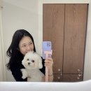 해운대로 483번길 10 | [헤로이뷰티] 속눈썹펌&amp;눈썹왁싱 5년차의 찐 부산속눈썹펌 정착후기