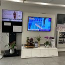 회원점기아오토큐