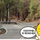 거창전원공인중개사사무소 네이버블로그