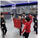 미르태권도 이미지