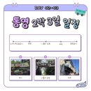발개로 | [국내여행/2025] - 통영 뚜벅이 2박 3일 여행 후기 2편 (내돈내산)