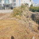 제주공감공인중개사사무소 이미지