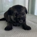 외답6길 이미지