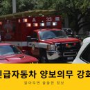 강화자동차 이미지
