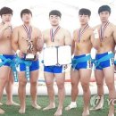 영월군청 앞 이미지