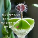 평택 포스코 더샵 이미지